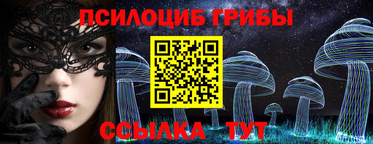 Псилоцибиновые грибы GOLDEN TEACHER  Вход с VPN  Галлюциногенные грибы Magic Shrooms  Тулун 