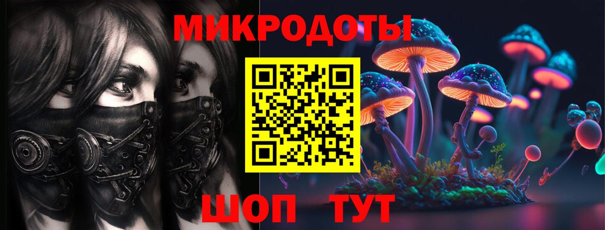 Галлюциногенные грибы Cubensis Тулун